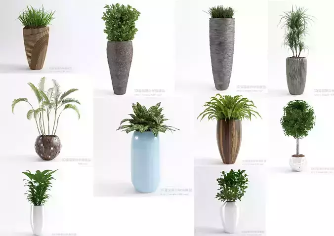PLANT VIP - 10 MODELS COLLECTION 1