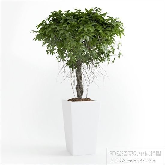 PLANT VIP - 10 MODELS COLLECTION 2 3D model_1