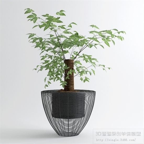 PLANT VIP - 10 MODELS COLLECTION 2 3D model_5