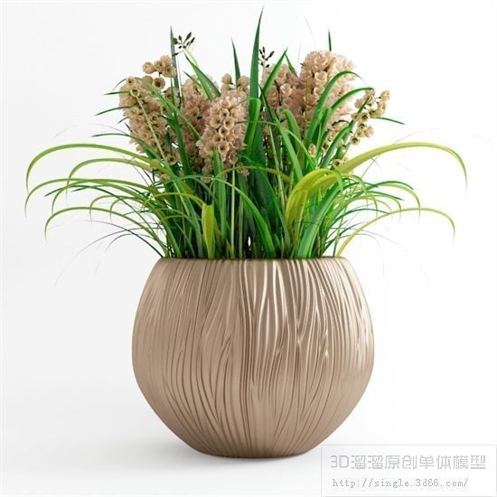 PLANT VIP - 10 MODELS COLLECTION 2 3D model_4