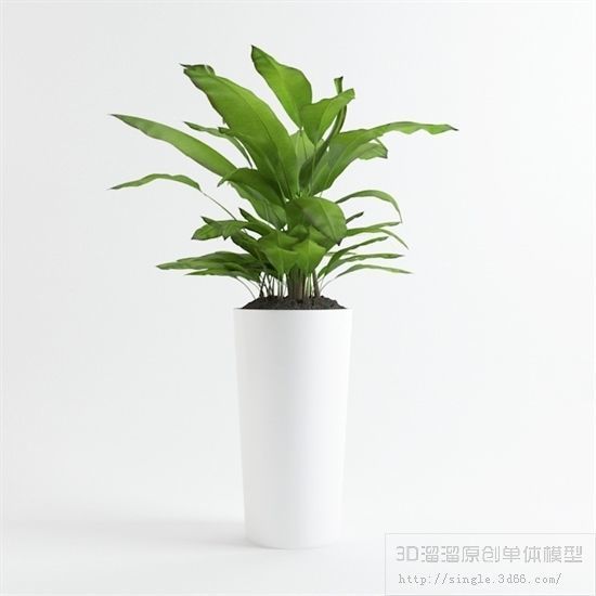 PLANT VIP - 10 MODELS COLLECTION 2 3D model_2