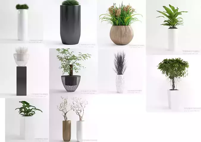 PLANT VIP - 10 MODELS COLLECTION 2