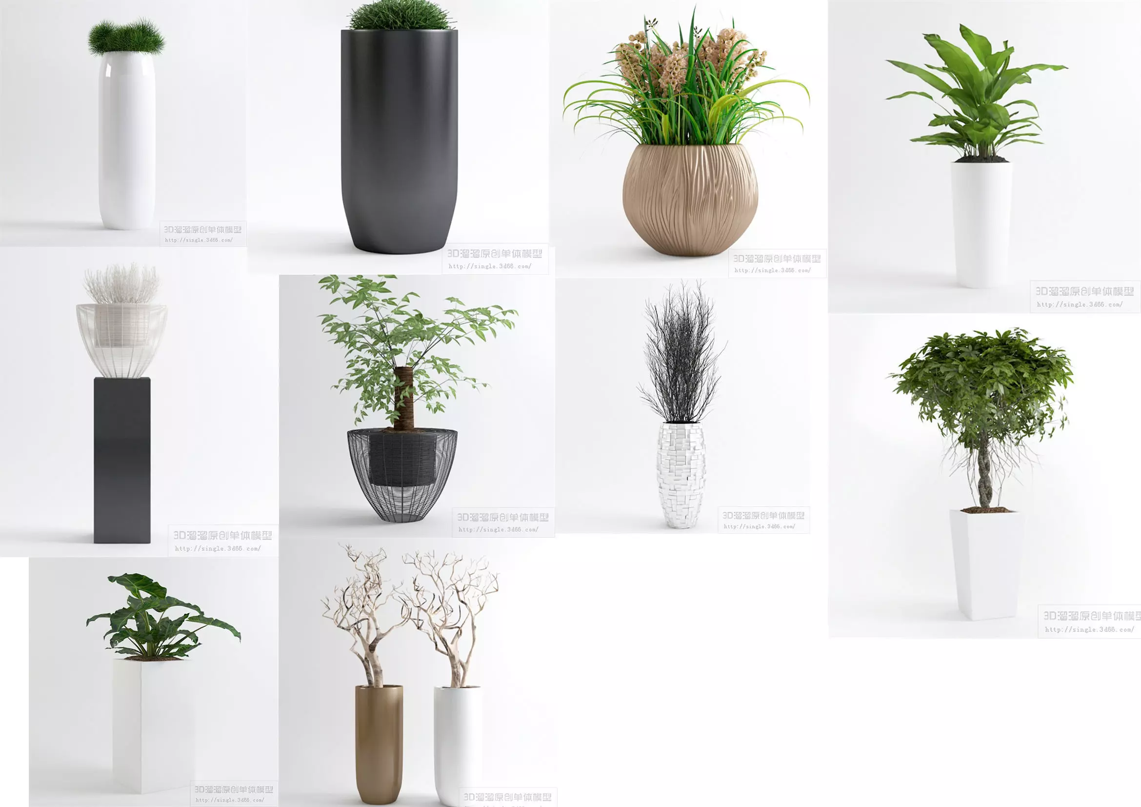 PLANT VIP - 10 MODELS COLLECTION 2 3D model_0