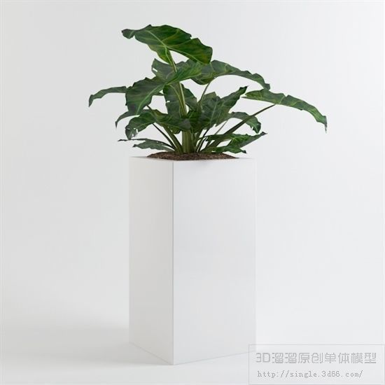 PLANT VIP - 10 MODELS COLLECTION 2 3D model_10
