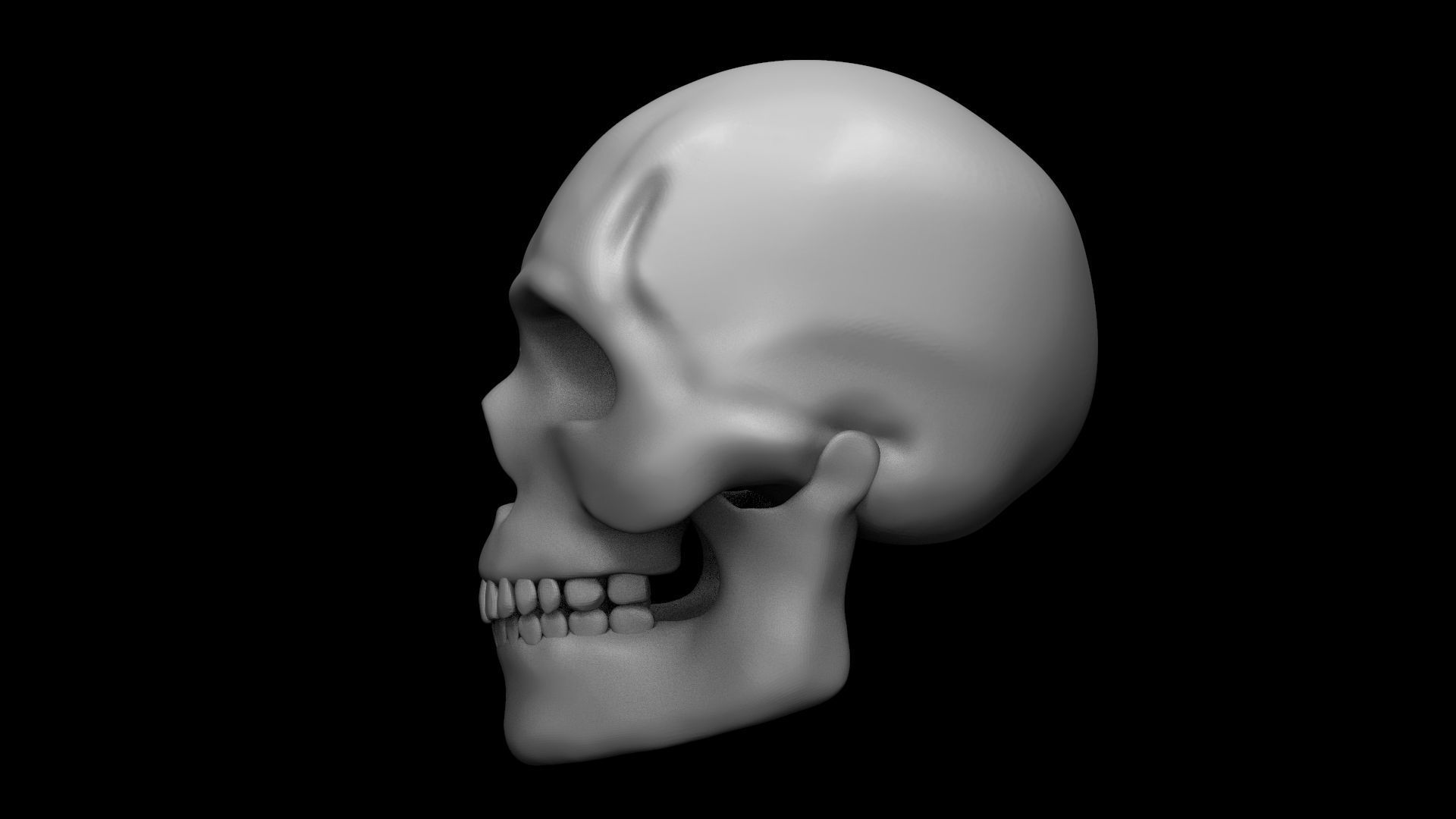 Skull light 3d model - 2021 3D model_0