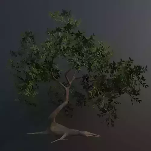 Stylized tree 3D model