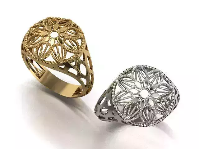 reticulate ring 4