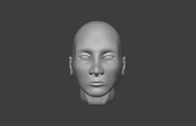Head 3D Model human Free 3D model