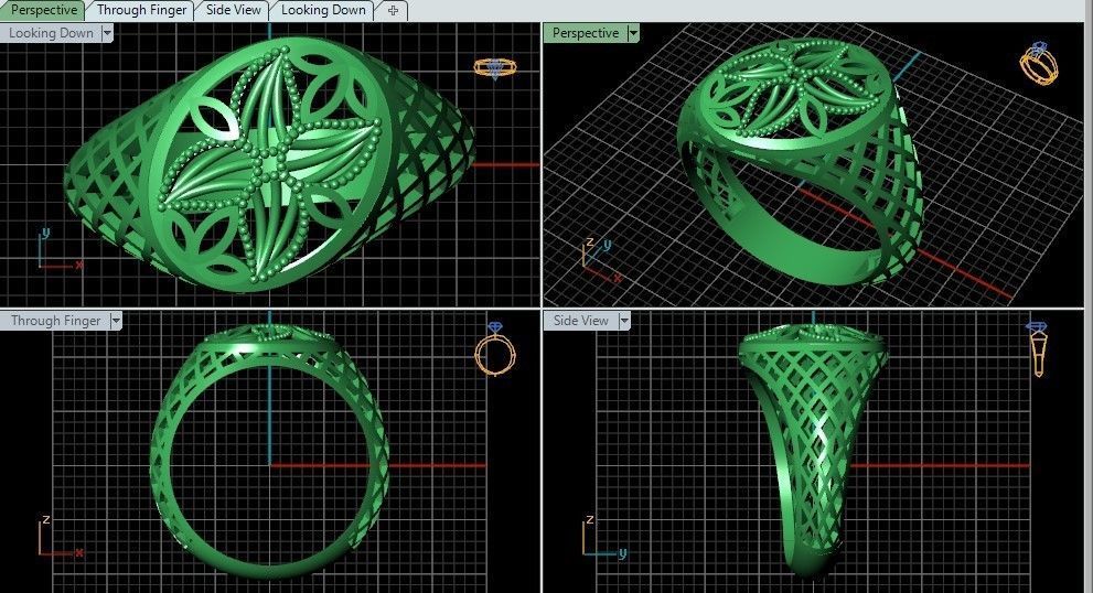 reticulate ring 2 3D print model_1