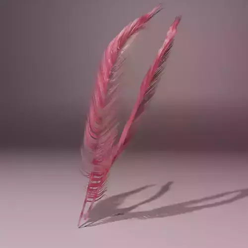 Feather