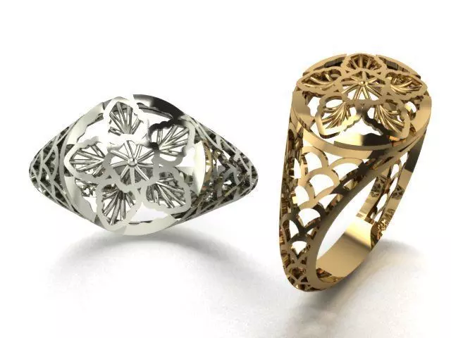 reticulate ring 1 3D print model_0