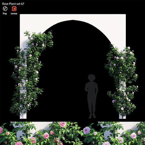 Rose plant set 67 3D model