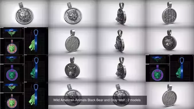 Wild American Animals Black Bear and Gray Wolf