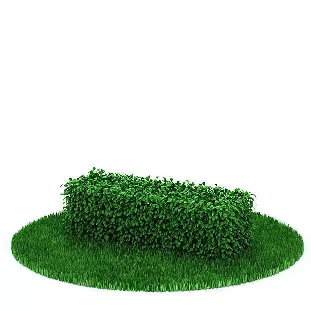 Green Small Hedge 3D model_0