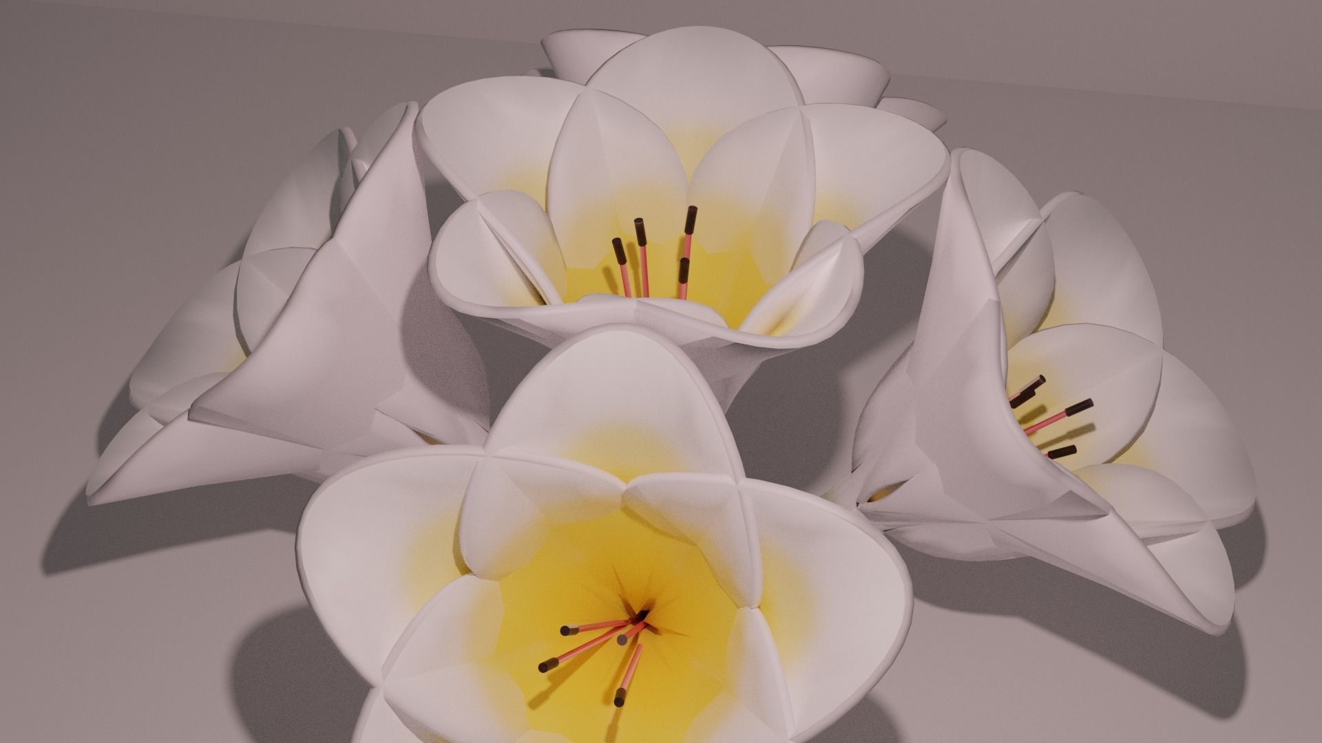3D Lily Model Low-poly 3D model_3