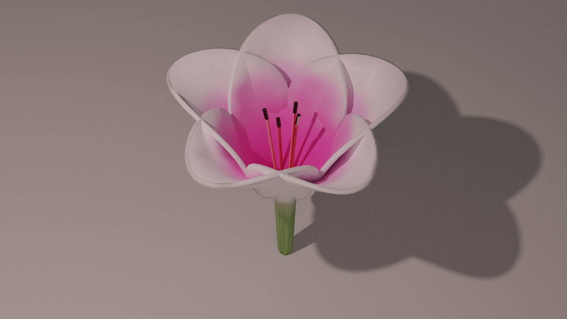 3D Lily Model Low-poly 3D model_5