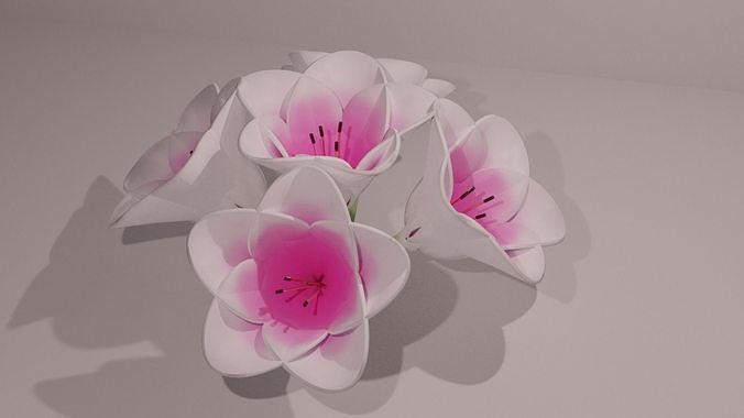3D Lily Model Low-poly 3D model