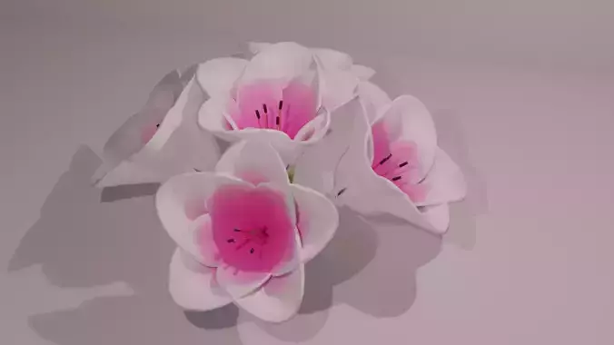 3D Lily Model Low-poly 3D model