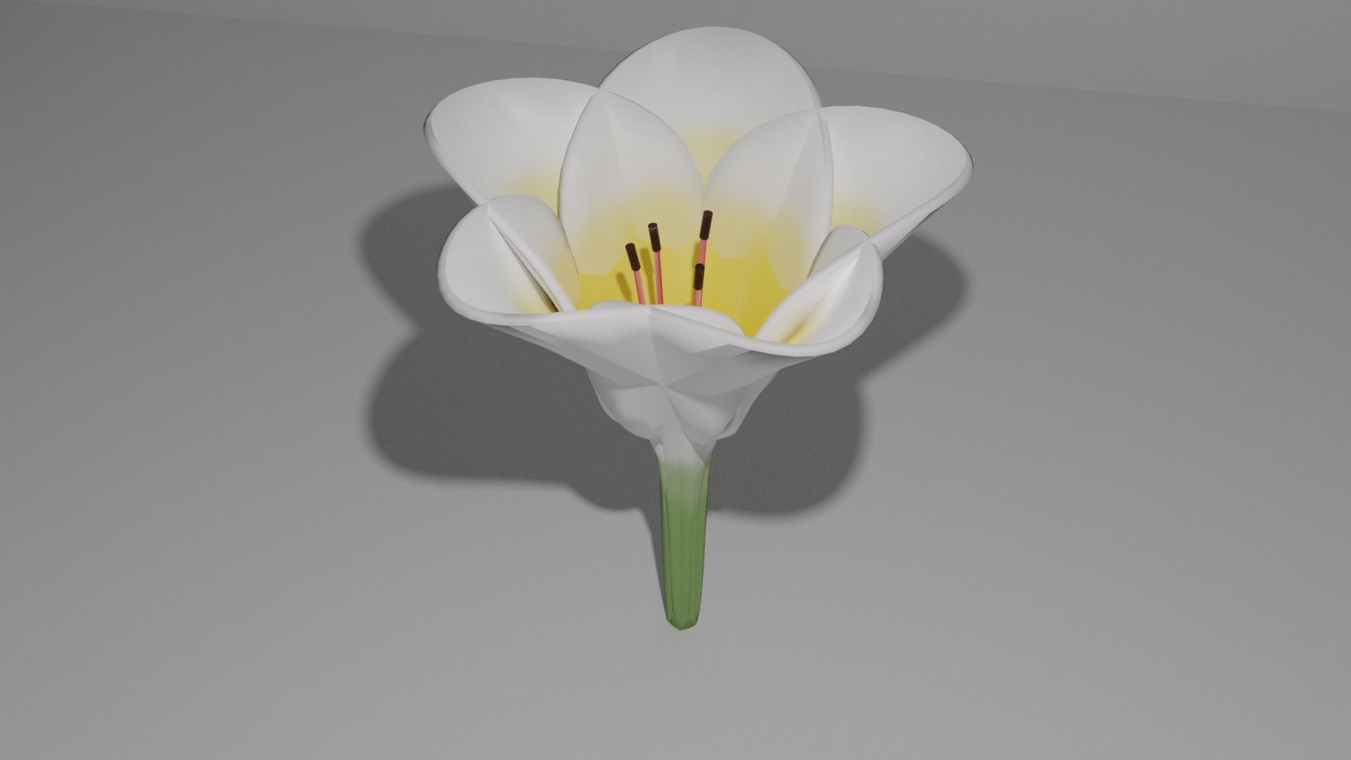 3D Lily Model Low-poly 3D model_2