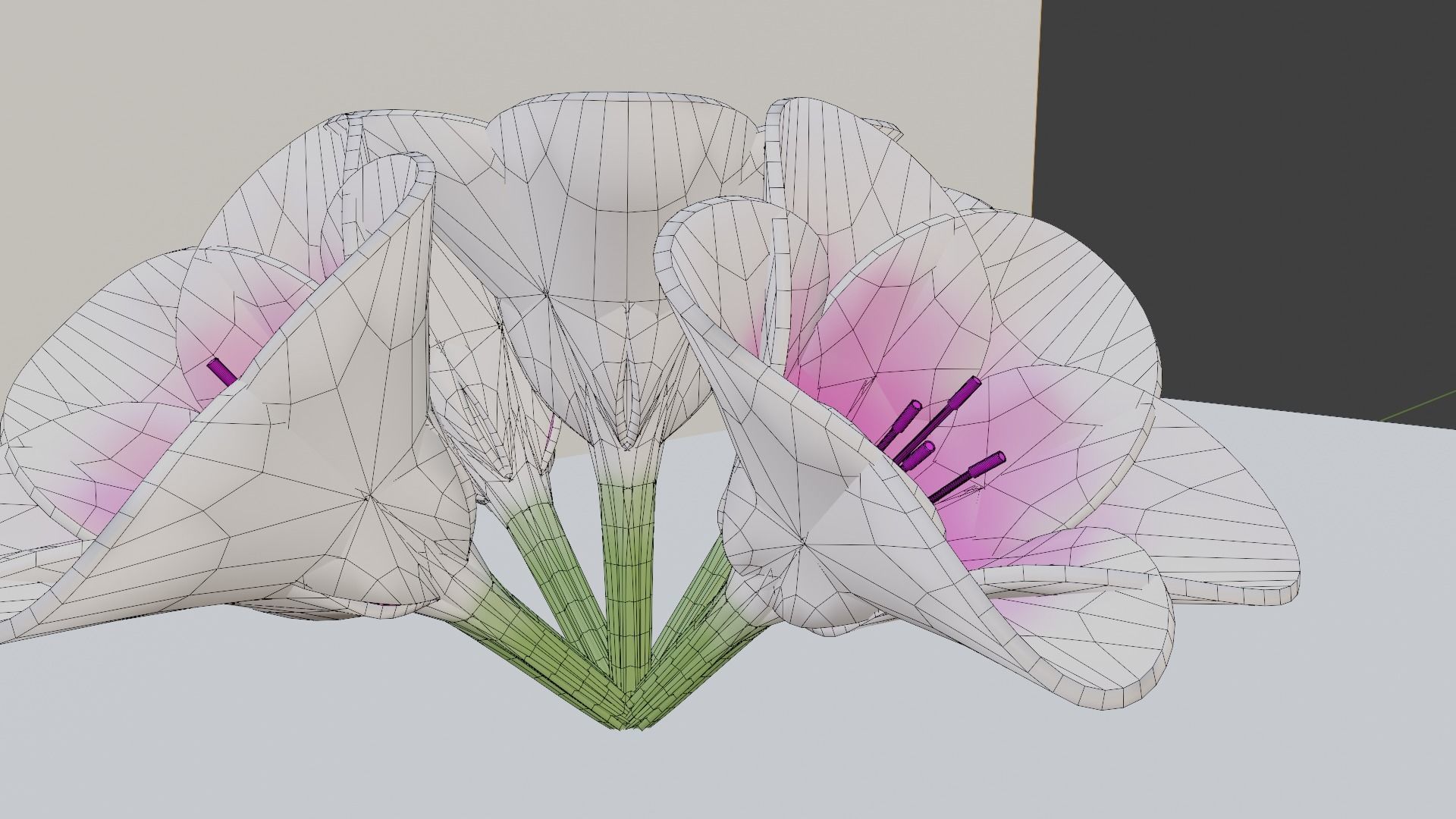 3D Lily Model Low-poly 3D model_6