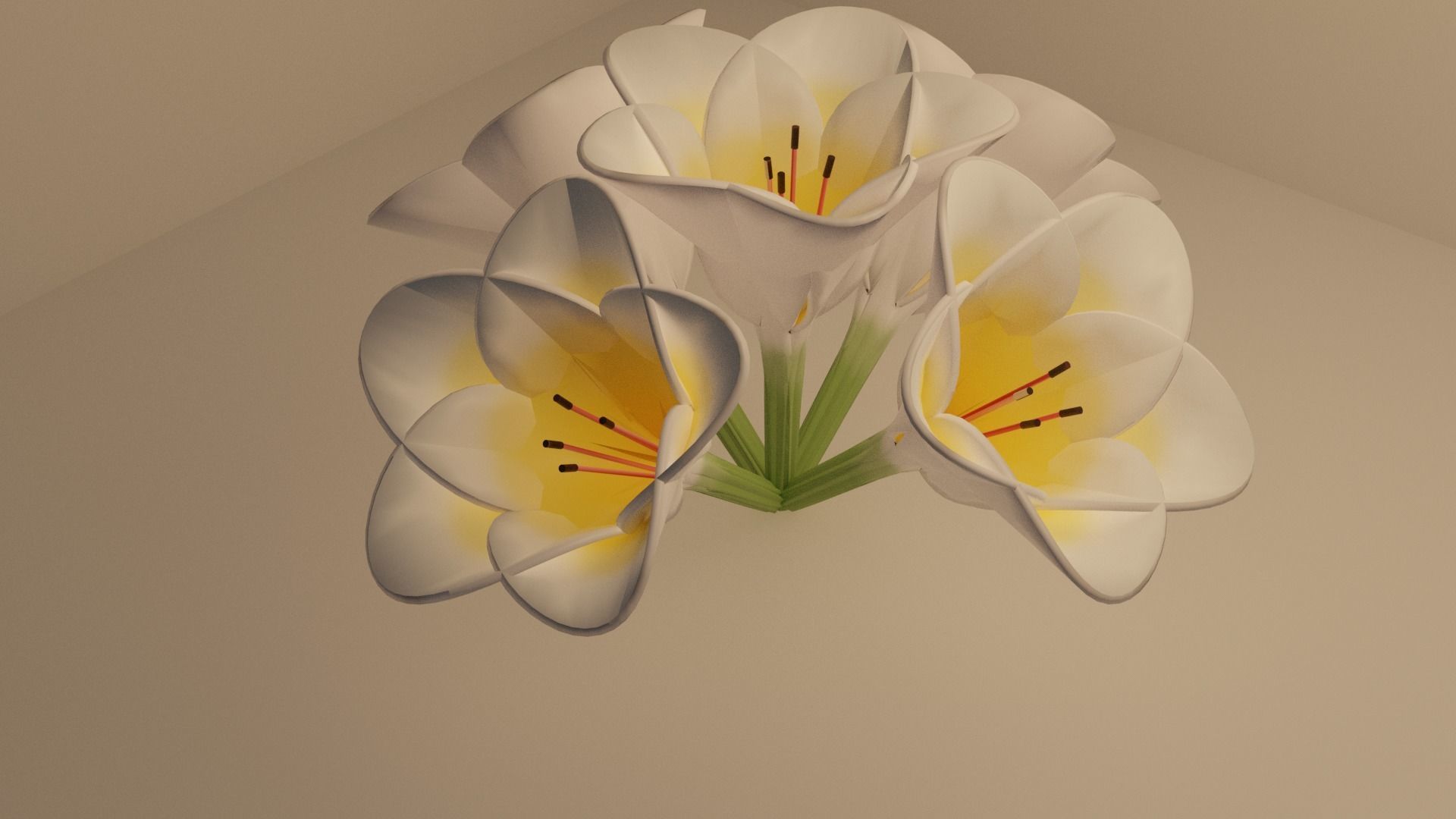 3D Lily Model Low-poly 3D model_4