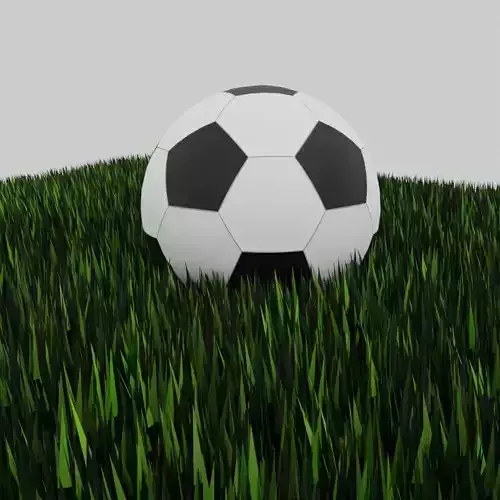 Soccer ball on grass