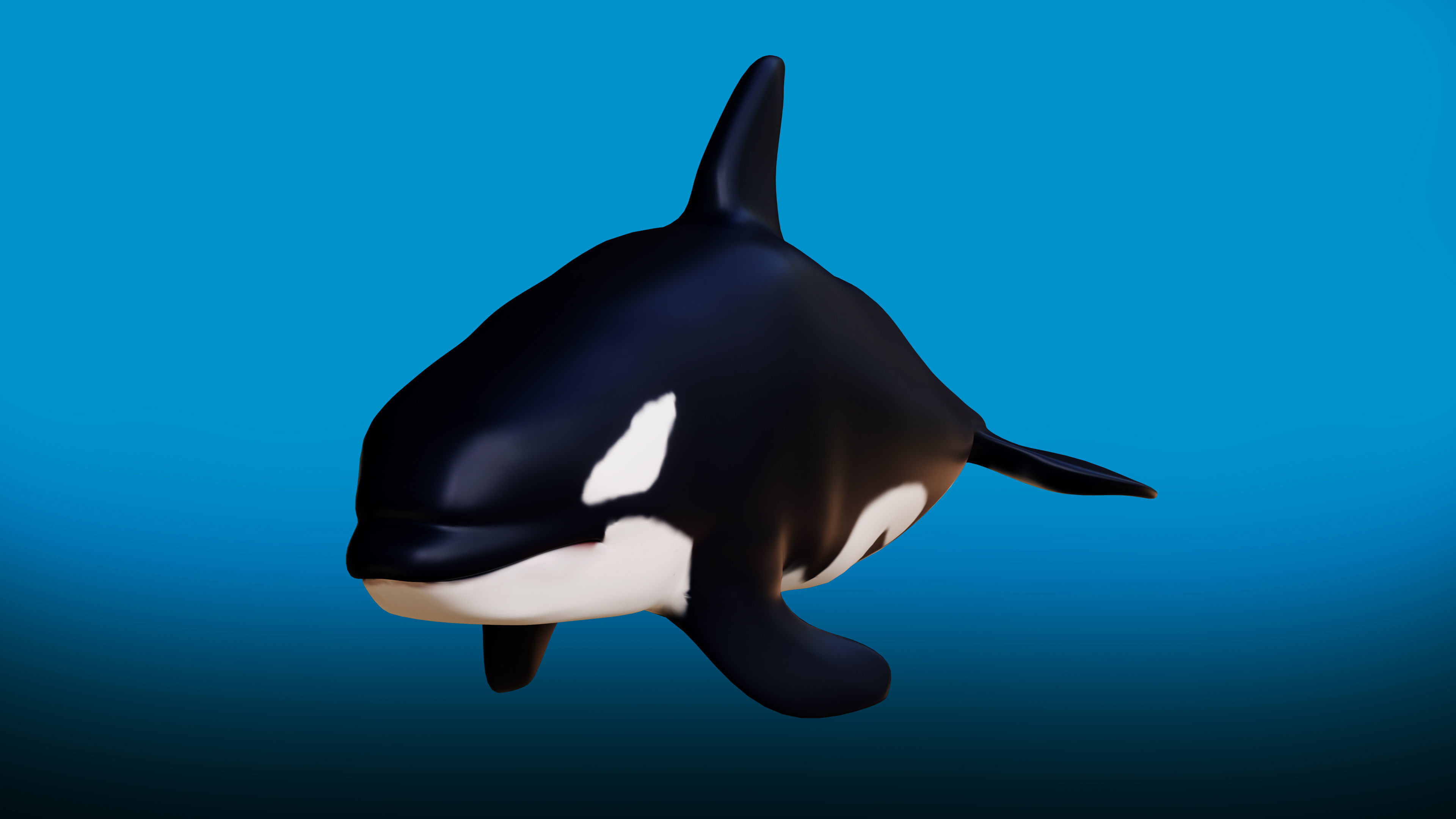 Killer whale Rigged Low-poly 3D model_1