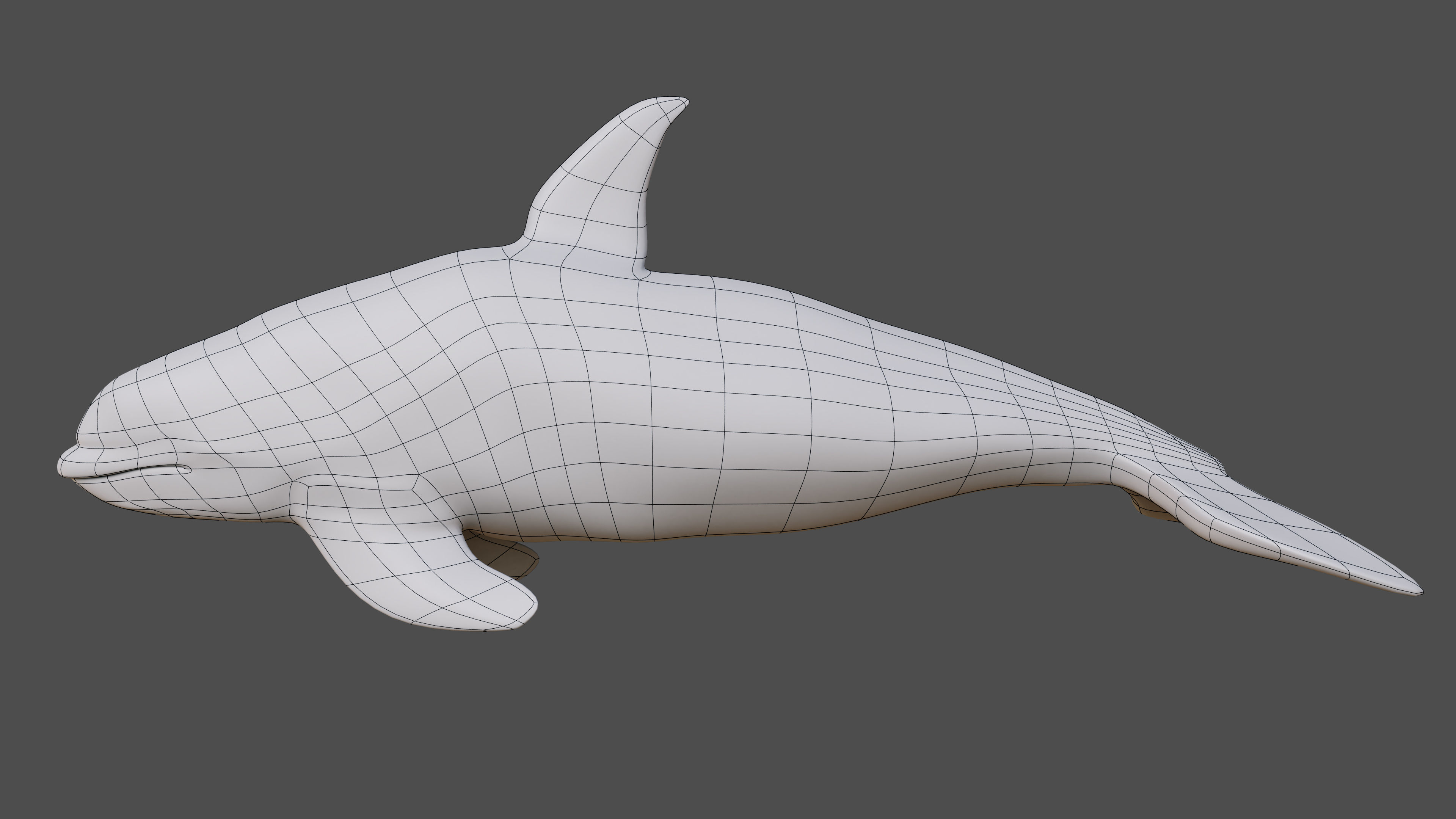 Killer whale Rigged Low-poly 3D model_6