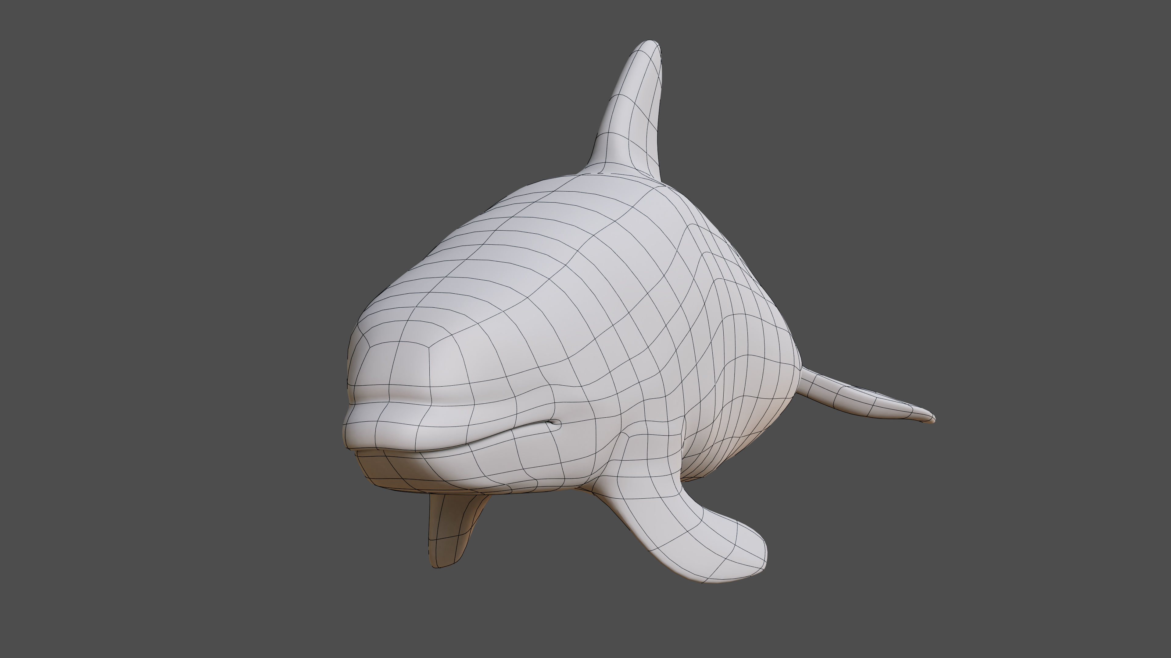 Killer whale Rigged Low-poly 3D model_8