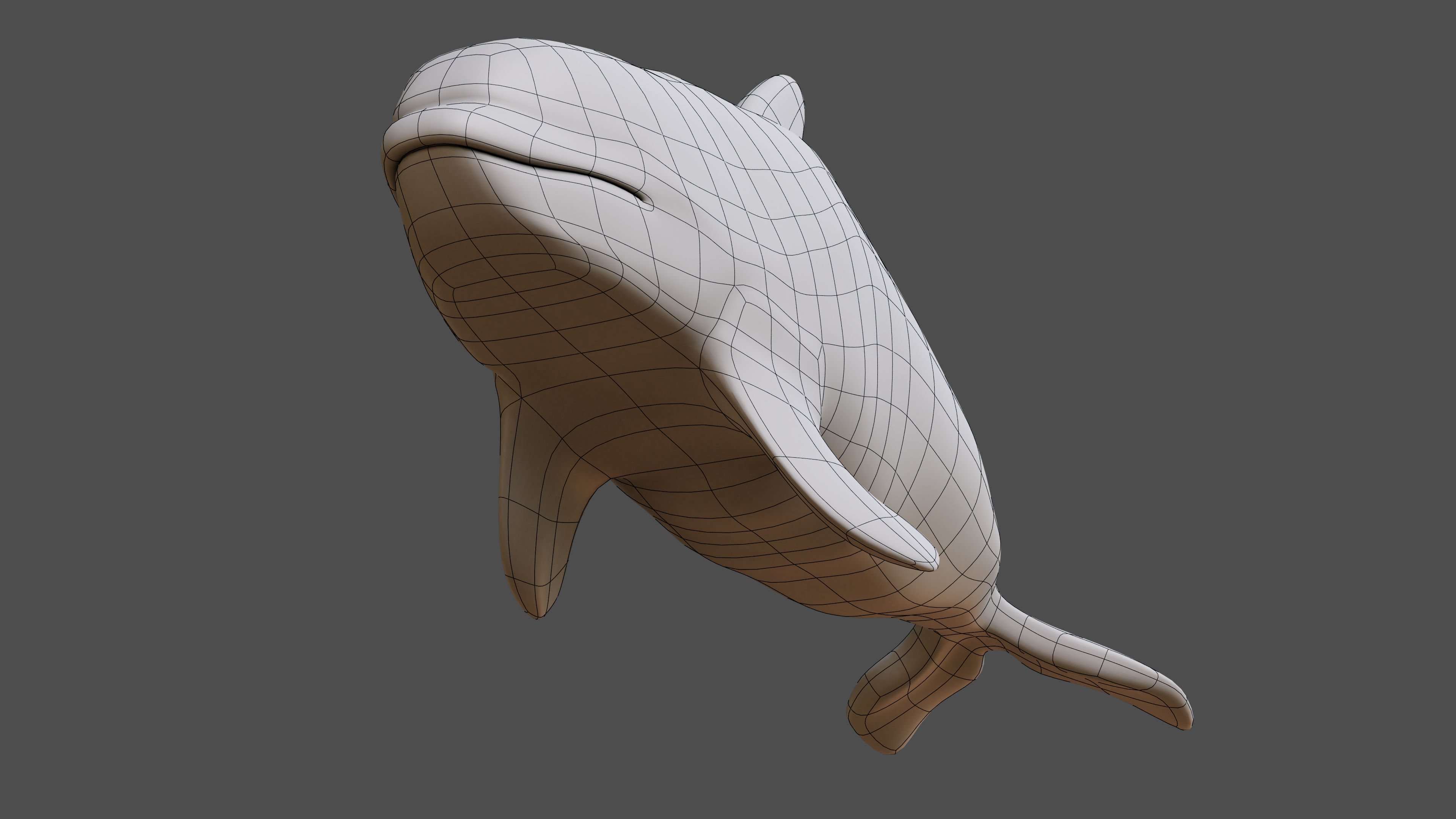 Killer whale Rigged Low-poly 3D model_7