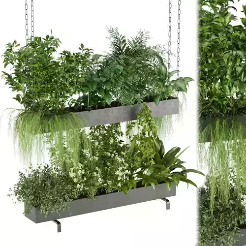 Collection plant vol 234 3D model