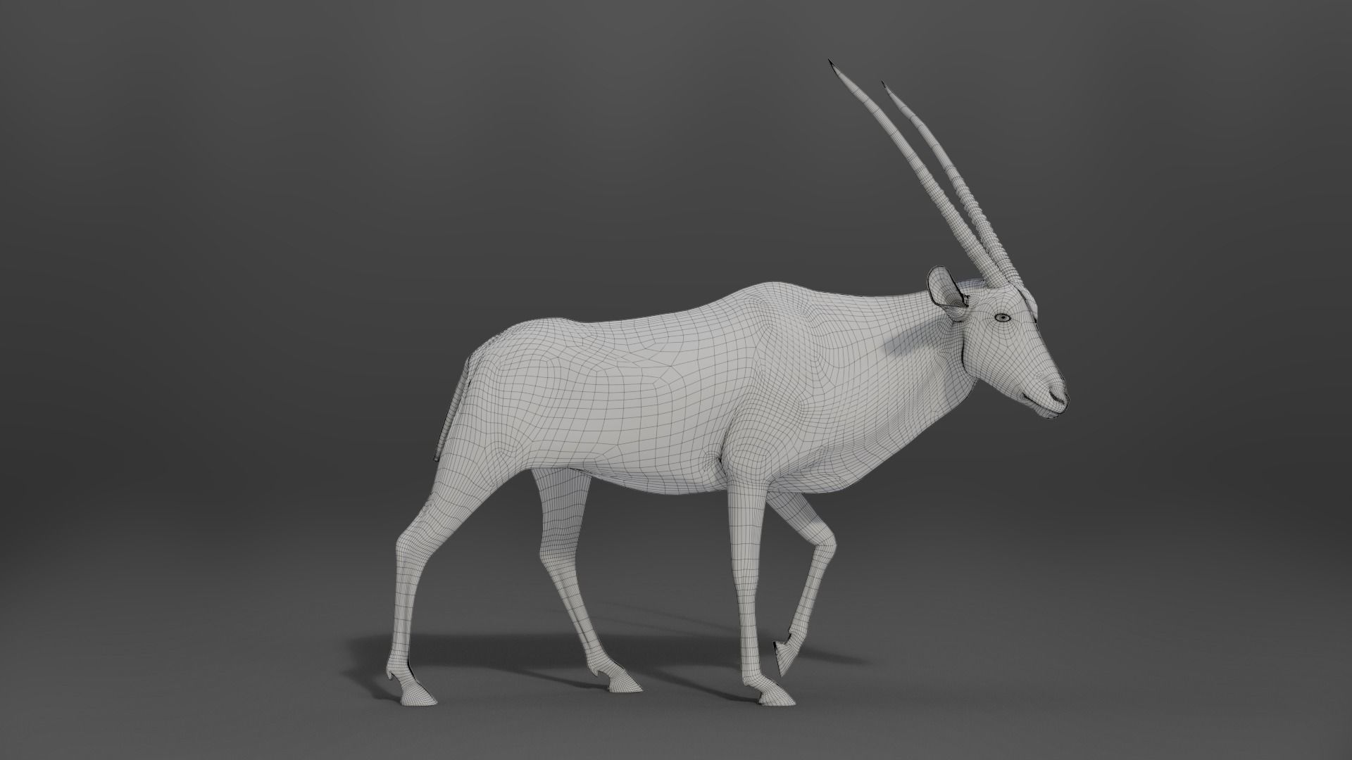 African Oryx Animated VFX Grace 3D model_10