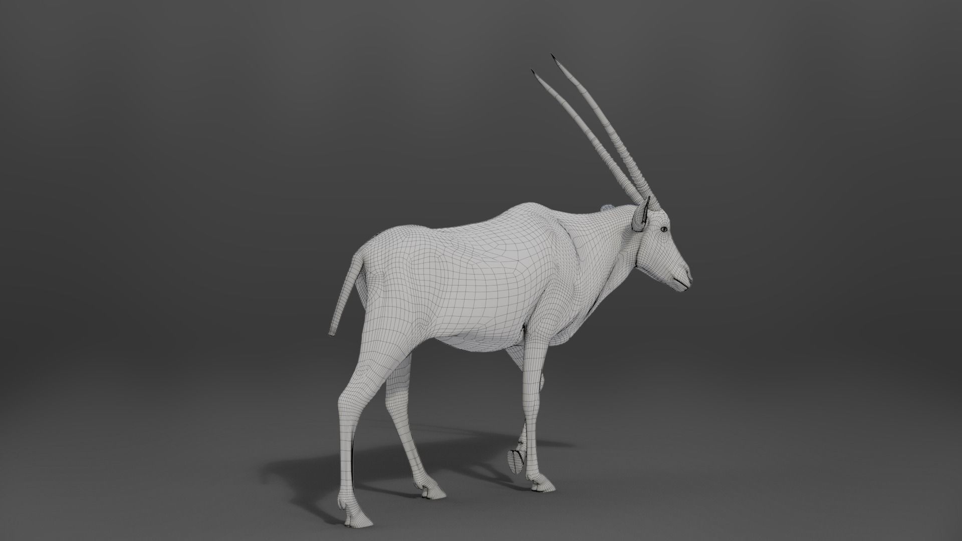 African Oryx Animated VFX Grace 3D model_12
