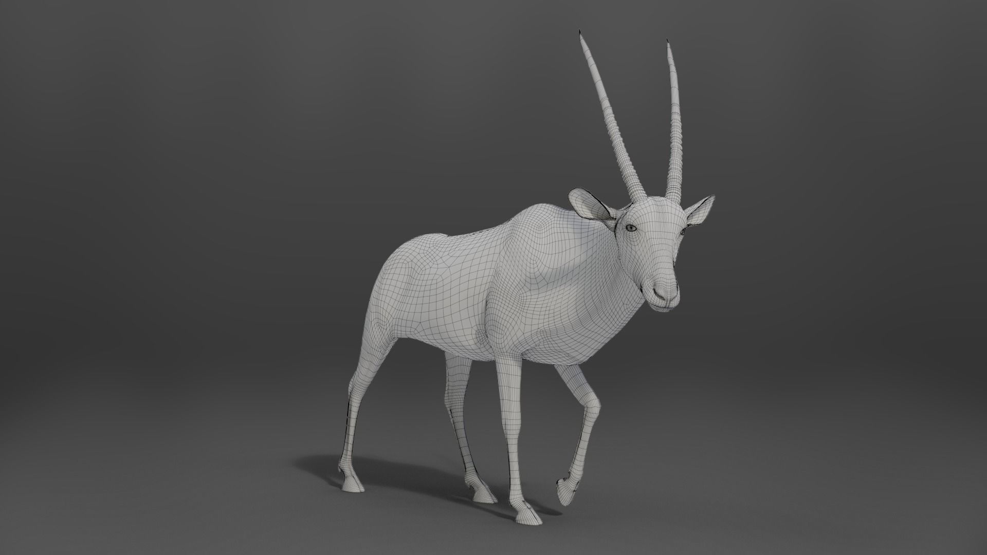African Oryx Animated VFX Grace 3D model_11