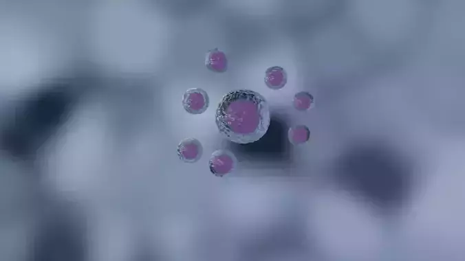 Stem Cell 3d model