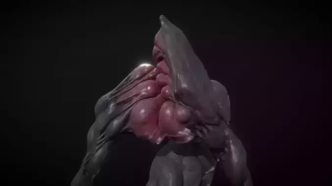 Crawler human body with muscles and organs