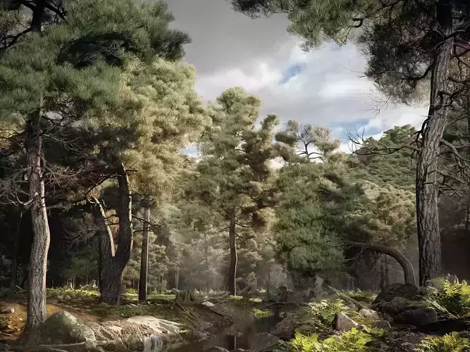 HeliosVegetation vol10 - Pinus Brutia - Turkish Pine  3D model