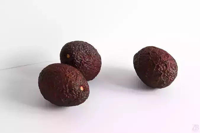 Avocado 3D model