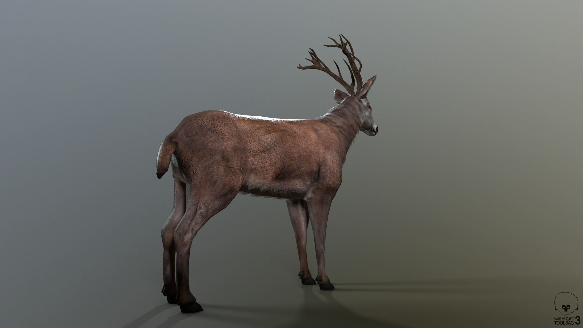 Animated Lowpoly Fur Deer Stag   Low-poly 3D model_26