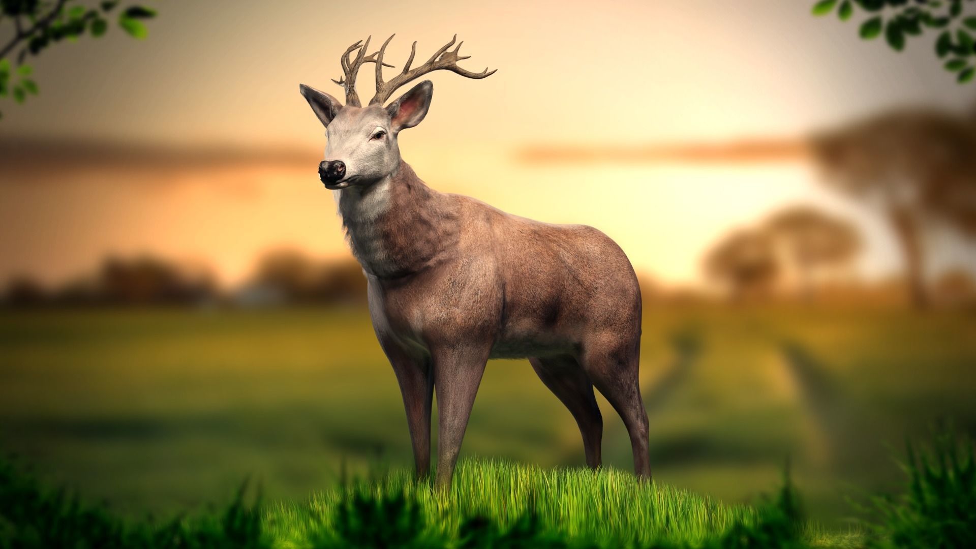 Animated Lowpoly Fur Deer Stag   Low-poly 3D model_4
