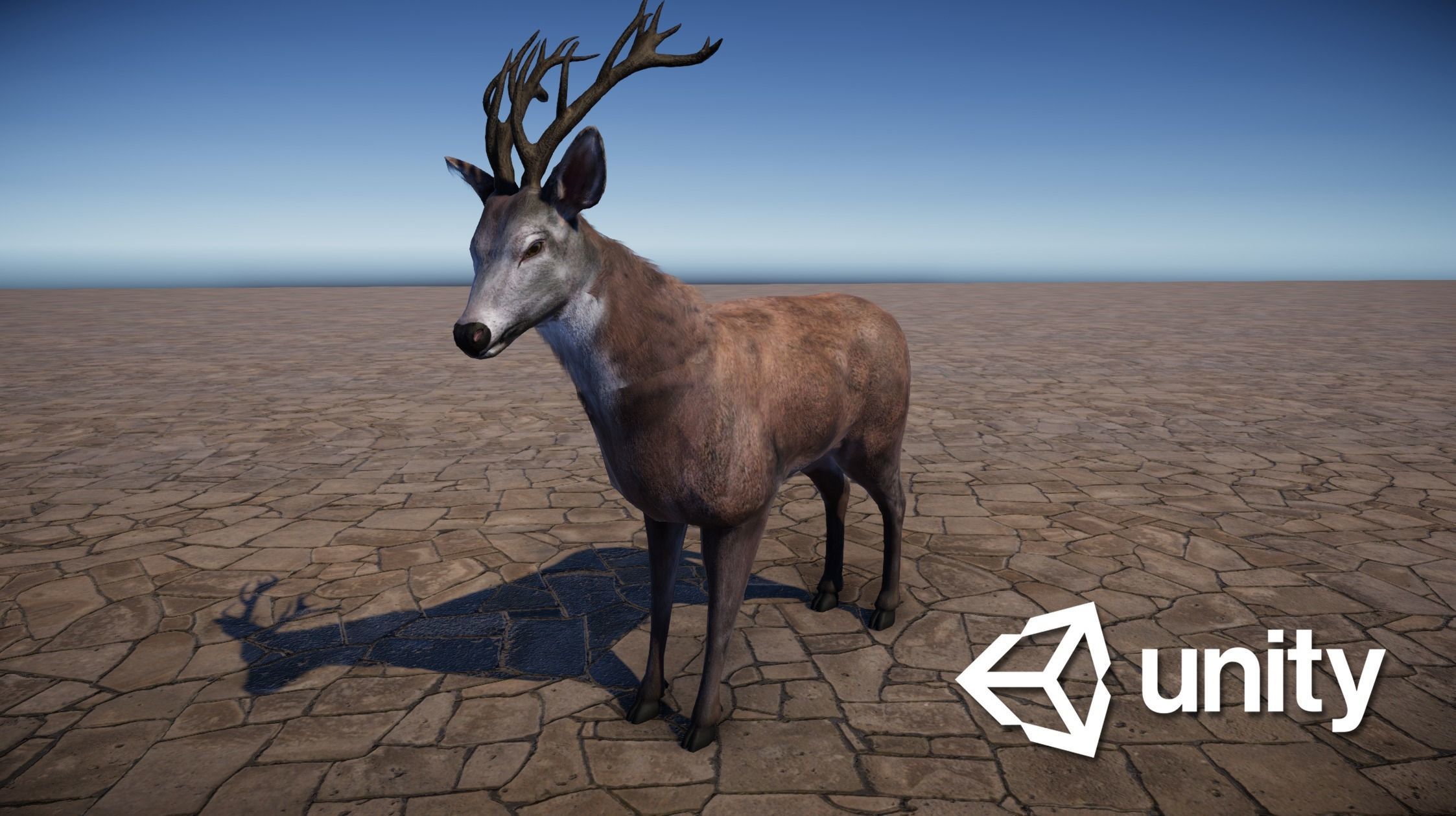 Animated Lowpoly Fur Deer Stag   Low-poly 3D model_16