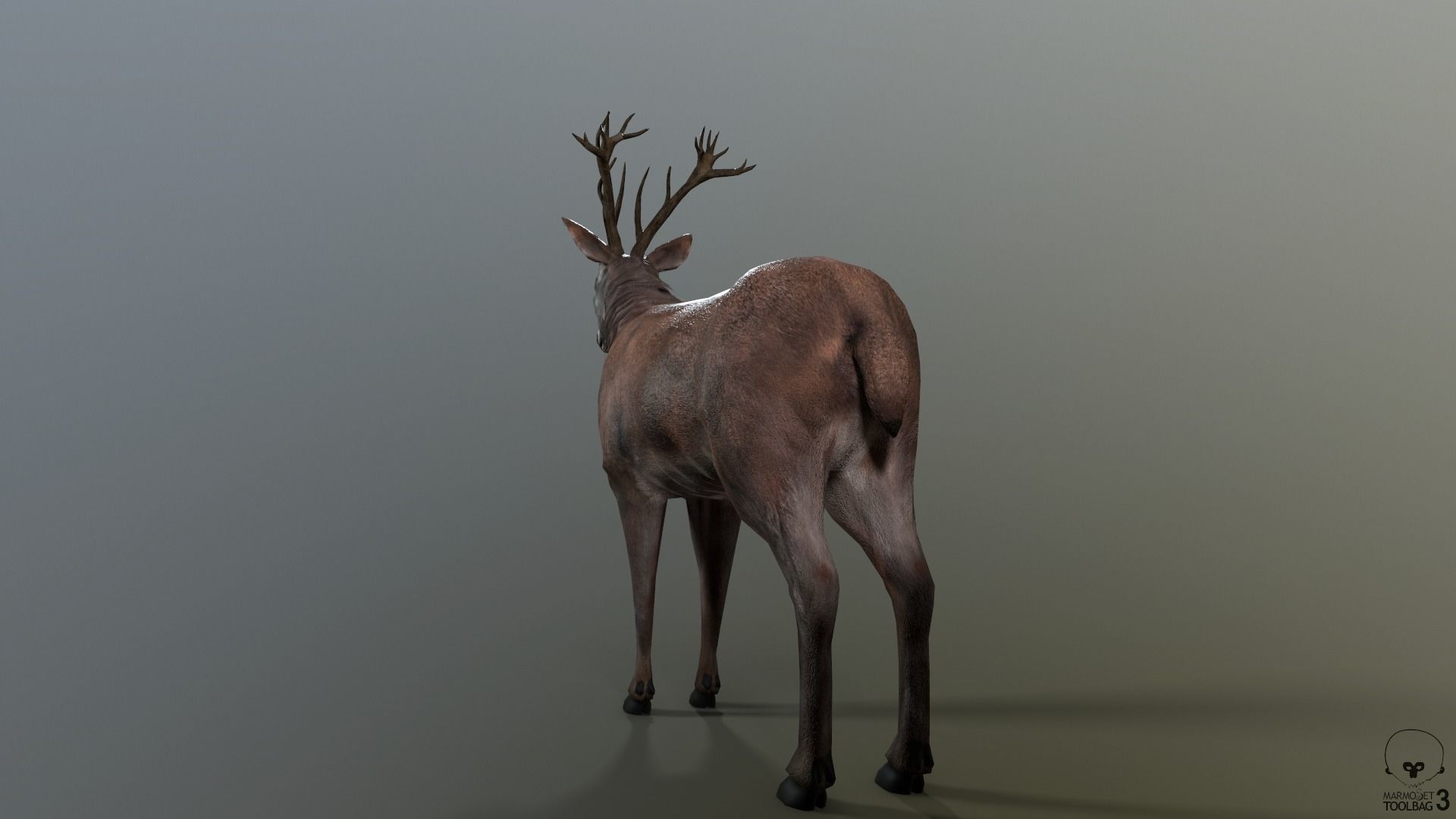 Animated Lowpoly Fur Deer Stag   Low-poly 3D model_30