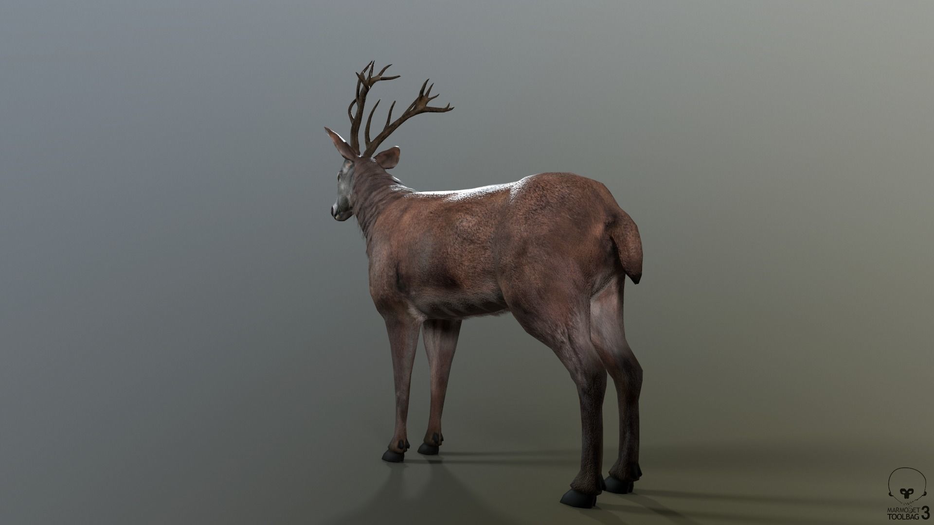 Animated Lowpoly Fur Deer Stag   Low-poly 3D model_31