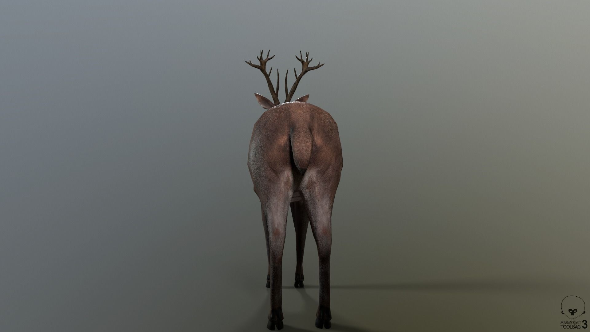 Animated Lowpoly Fur Deer Stag   Low-poly 3D model_29