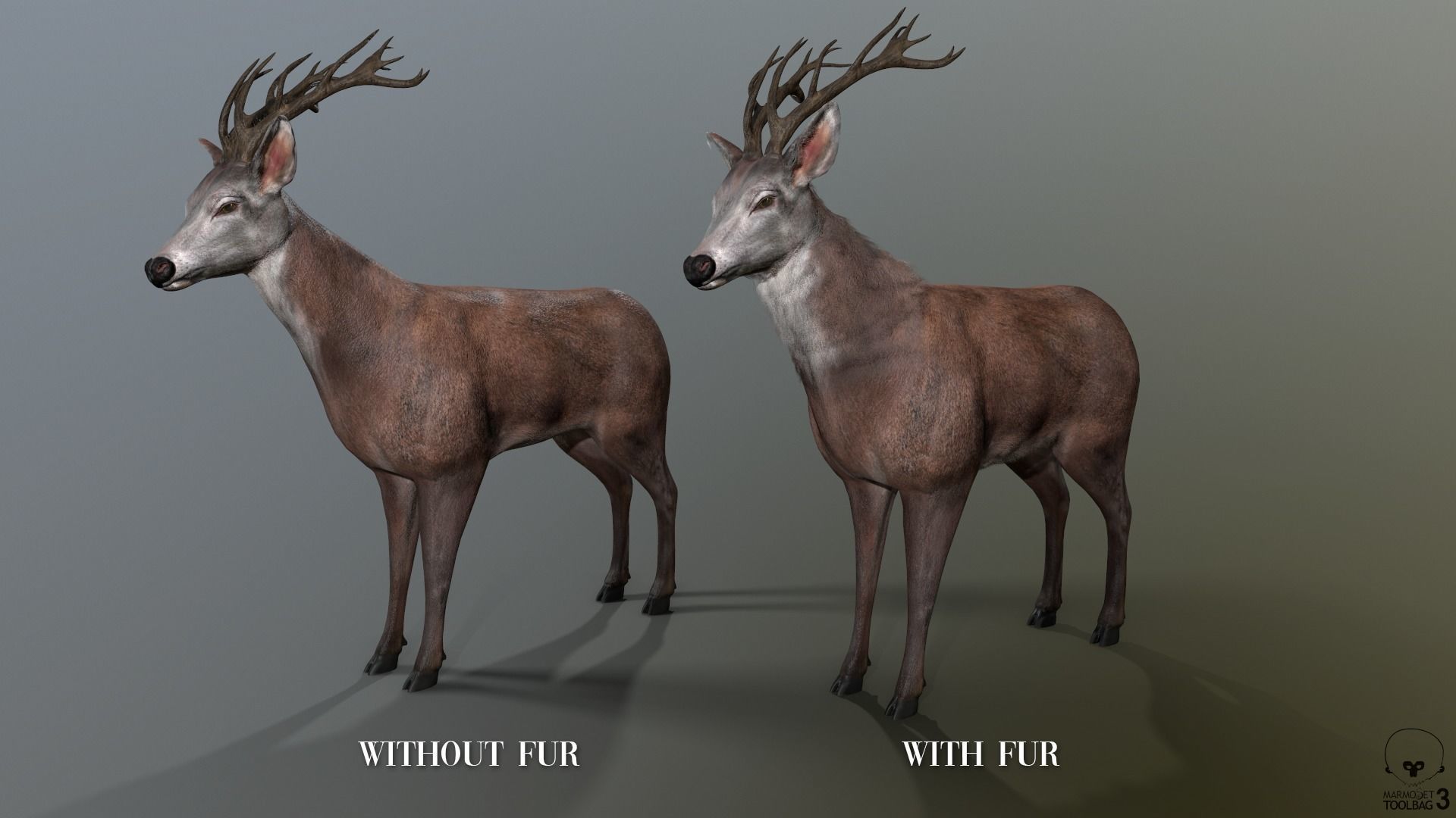 Animated Lowpoly Fur Deer Stag   Low-poly 3D model_8