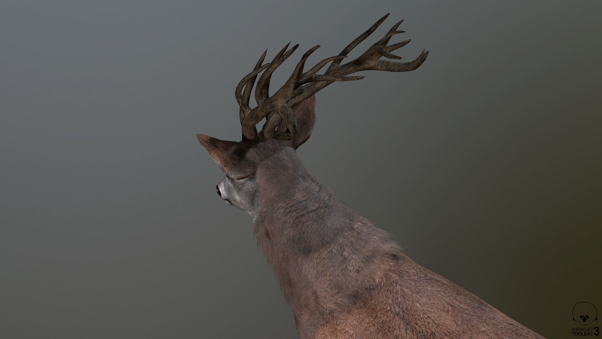 Animated Lowpoly Fur Deer Stag   Low-poly 3D model_14