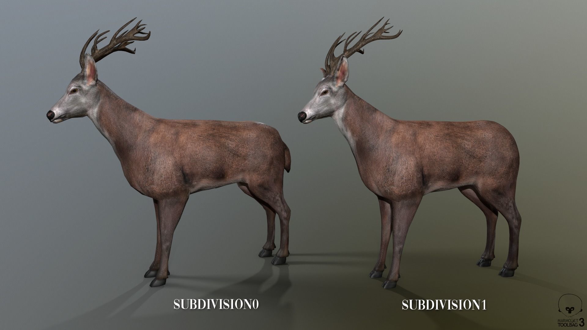 Animated Lowpoly Fur Deer Stag   Low-poly 3D model_9
