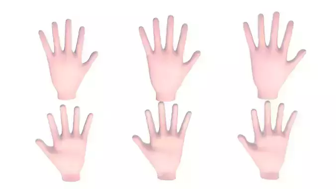 Hand 3D Model Base Mesh