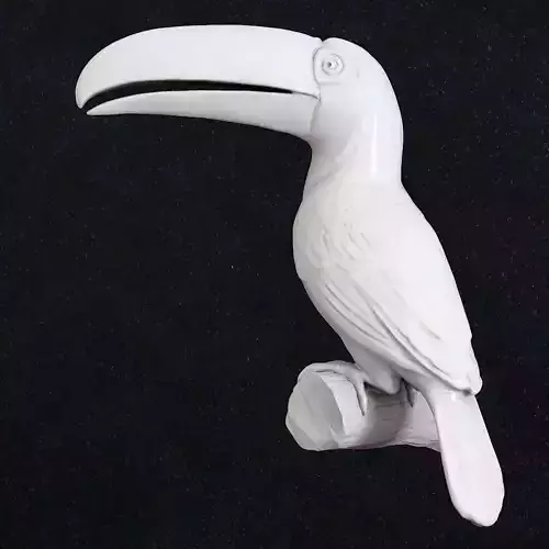 Toucan Bird 3D print model