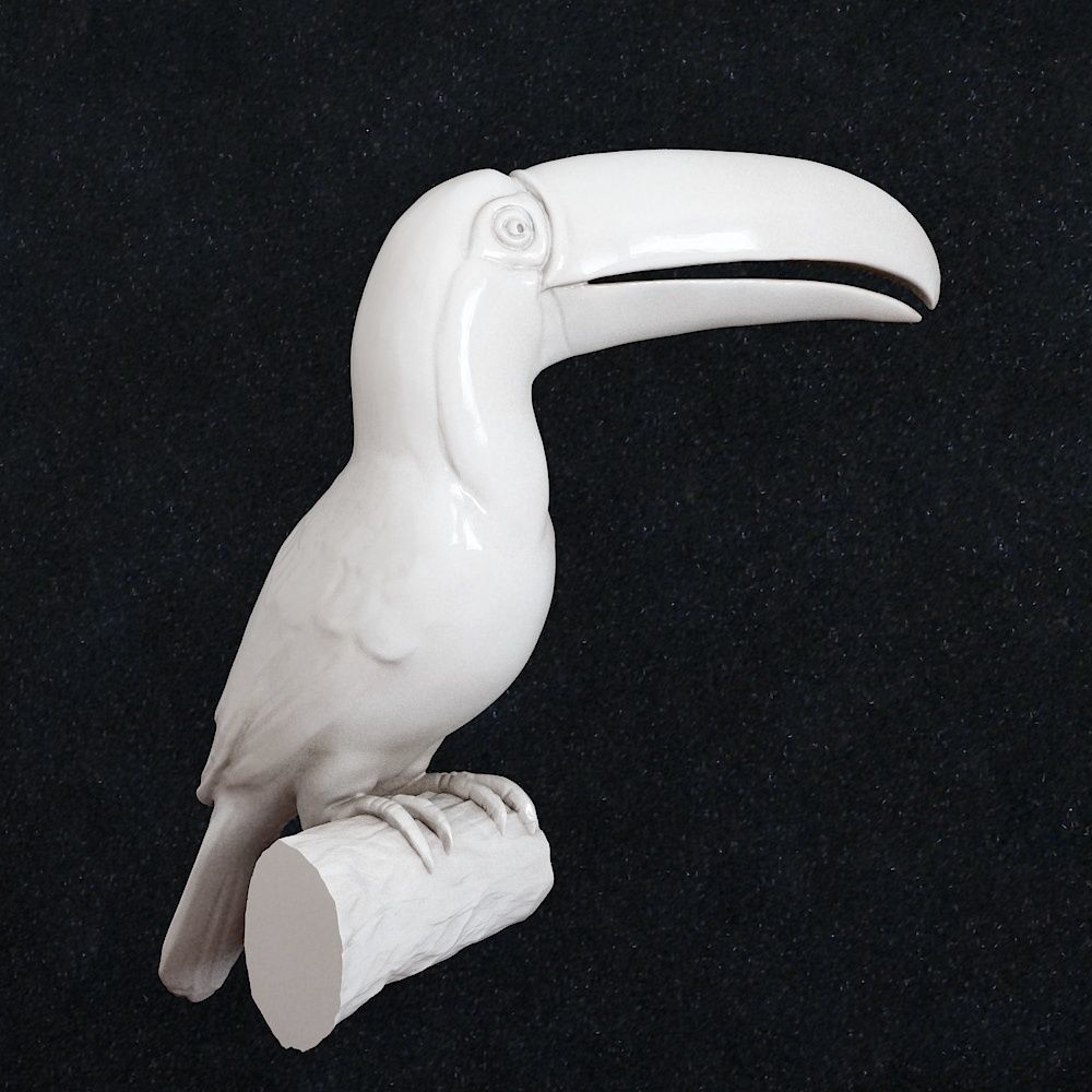 Toucan Bird 3D print model_2